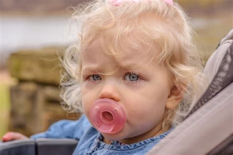 Baby Toddler Blond Hair Blue Eyes Pacifier Stock Photos Free
