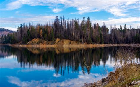 Download Wallpaper 3840x2400 Trees Forest Island Lake Reflection