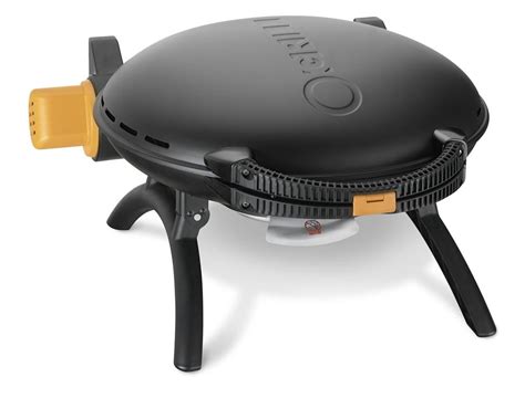 You can find camp stoves that double as small propane bbq grills. O-Grill Portable Gas Barbecue | Williams Sonoma AU
