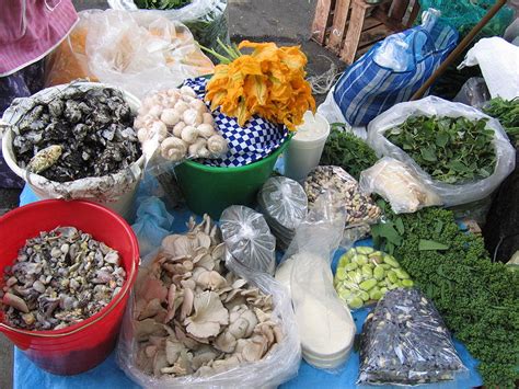 La mucormicosis, apodada hongo negro por los médicos en india, suele ser más grave en pacientes cuyo sistema en el estado de bombay se han constatado hasta 300 casos de 'hongo negro'. Huitlacoche, el dios negro de la cocina mexicana - Animal ...