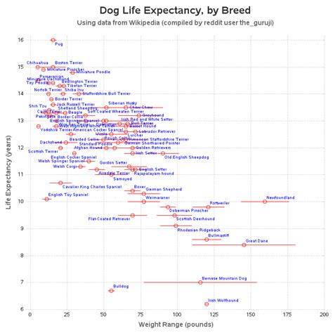 Dog Life Expectancy