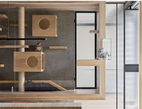 Modern Cat Furniture Provides Luxury Lounge Room for Fancy ... We carry a large selection and the top brands like zeze, chewy exclusives, and more.