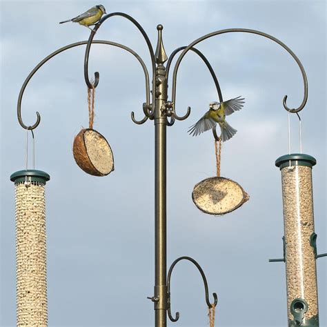 Find great deals on ebay for free standing bird feeders. Bird Feeder Stations Stands | Bird feeder station, Bird ...