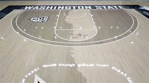 Basketball Court Design You Just Dominated With