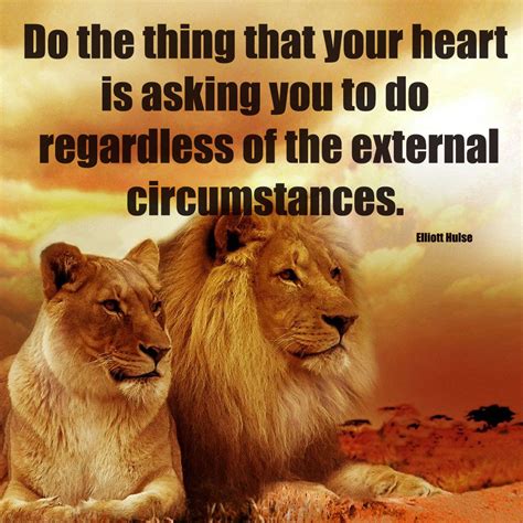 Inspirational Lion Quotes To Change Your Life Inspirational Stories