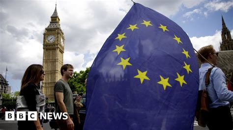 Eu Referendum Is Britain Ready For Brexit Bbc News