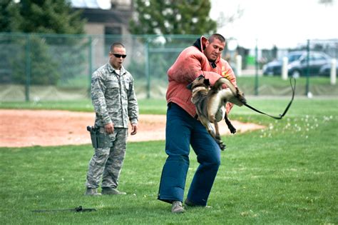 K 9 Handlers Give Demonstrations Buckley Space Force Base Article Display