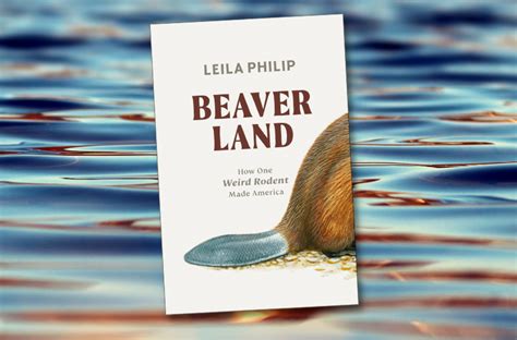 Read Beaverland By Leila Philip With The Scifri Book Club