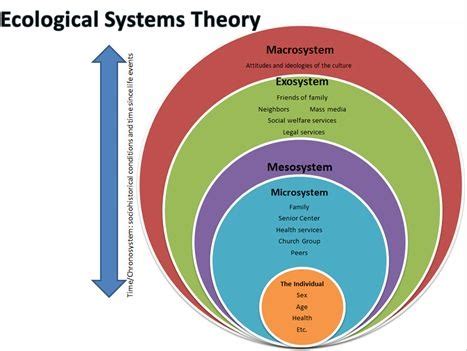 Chapter Systems Theory Flashcards Quizlet