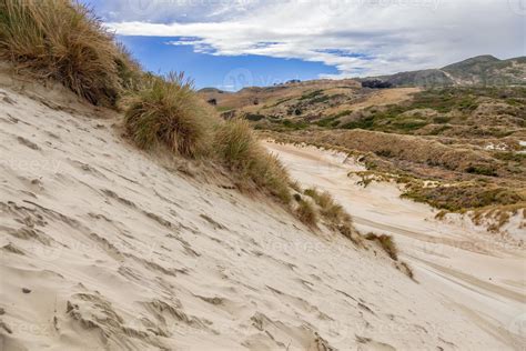 Sand Dunes At Sandfly Bay South Island New Zealand Stock Photo At Vecteezy