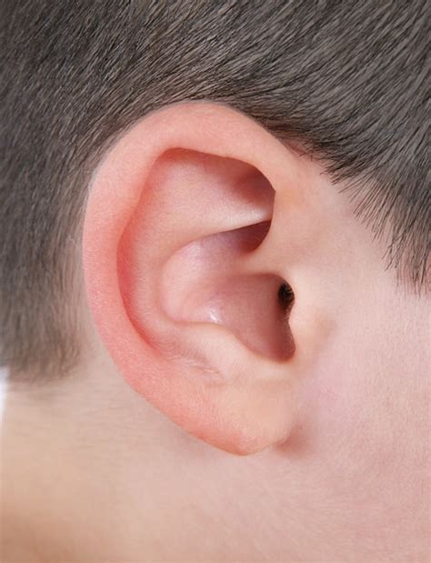 Premium Photo Closeup Of Human Ear