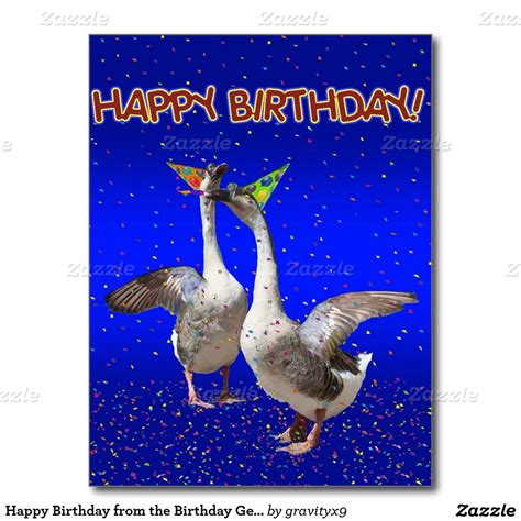 Happy Birthday From The Birthday Geese Postcard Happy