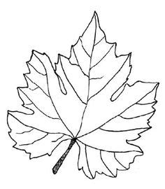 Browse the user profile and get inspired. Peinture aux doigts sur le thème de l'automne | Peinture ...