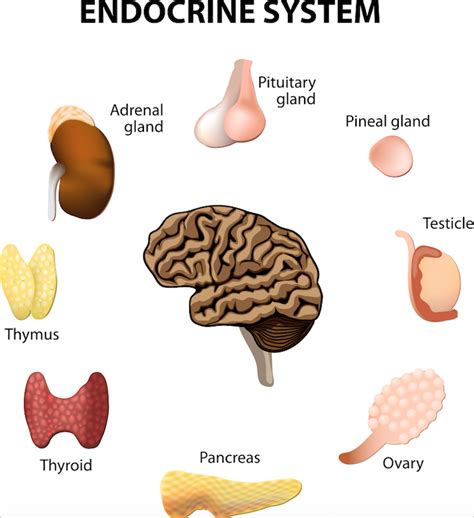 Building Healthy Bones | June Sale on Gaia Herbs | Vitamin D3