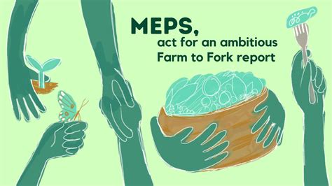 Farm To Fork 10 Priorities For Sustainable Food Systems Epha