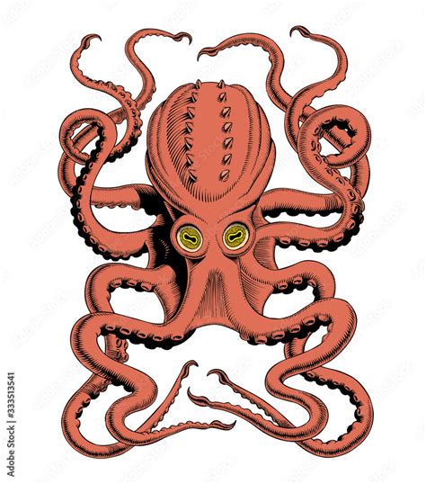 Kraken Illustration