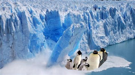 dénonciation du réchauffement climatique. Cela fait fondre la glace qui
