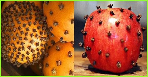 Fruit flies typically lay their eggs directly on rotting fruits and vegetables or else inside drains that are not kept clean. 6 Ways To Get Rid Of Fruit Flies + Prevention Tips