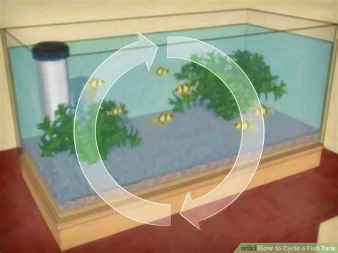 Add fish food flakes to the tank every 12 hours. How to Cycle a Fish Tank (with Pictures) - wikiHow