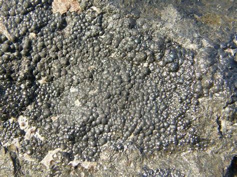 Uranium is a naturally occurring radioactive metal that is used to produce nuclear energy. What Is Pitchblende? (Uraninite)