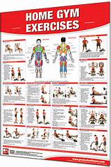 Fitness Exercises Chart Images