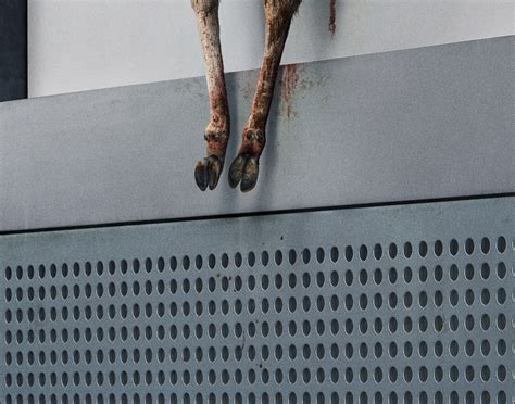 The Truth Behind The Wall on Behance