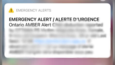 An amber alert was issued at approximately 3:30 a.m. OPP: System error caused Ottawa Amber Alert to be sent out ...