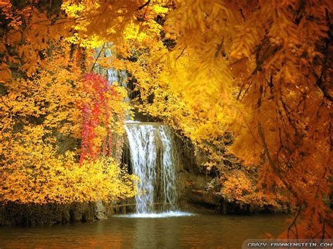 Free Desktop Wallpaper Autumn Scenes Wallpapersafari Cool Pictures