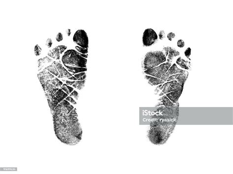 Newborn Infant Baby Footprint Ink Stamp Impressions Isolated Stock
