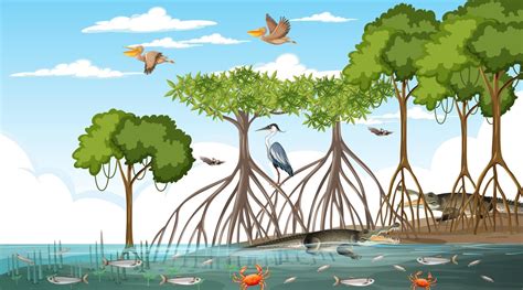 Mangrove Forest Landscape Scene At Daytime With Many Different Animals
