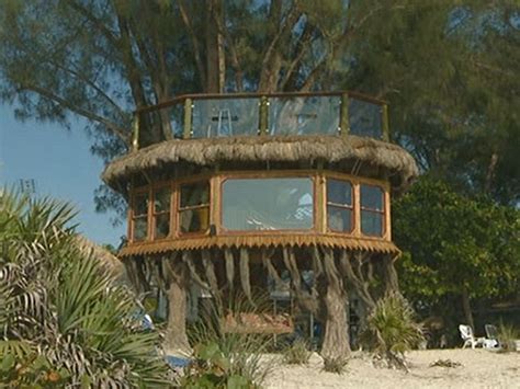Holmes Beach Tree House May Cost Owners Close To 150000 In Fines