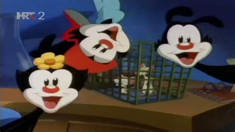 Animaniacs Pinky And The Brain Intro Croatian Youtube