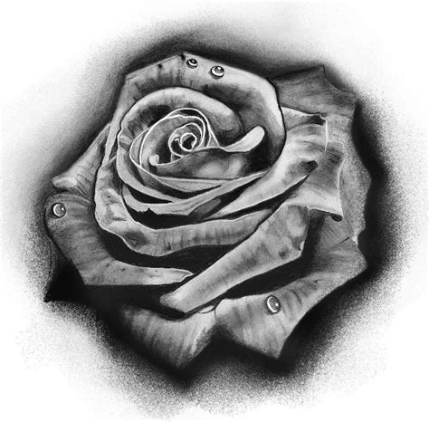 Tattoo Design Rose By Badfish1111 Deviantart Com On DeviantART Rose