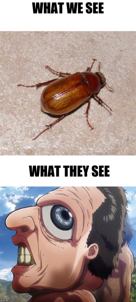 Image Tagged In June Bugattack On Titan Imgflip