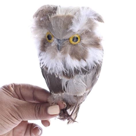 Brown Feather Artificial Owl Birds And Butterflies Basic Craft