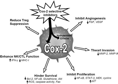 Cox2 Inhibitor Celecoxib As Anti Cancer Drug Jeffrey Dach Md