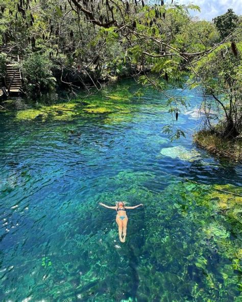 Jardín del Edén un cenote increíble en el Caribe Mexicano