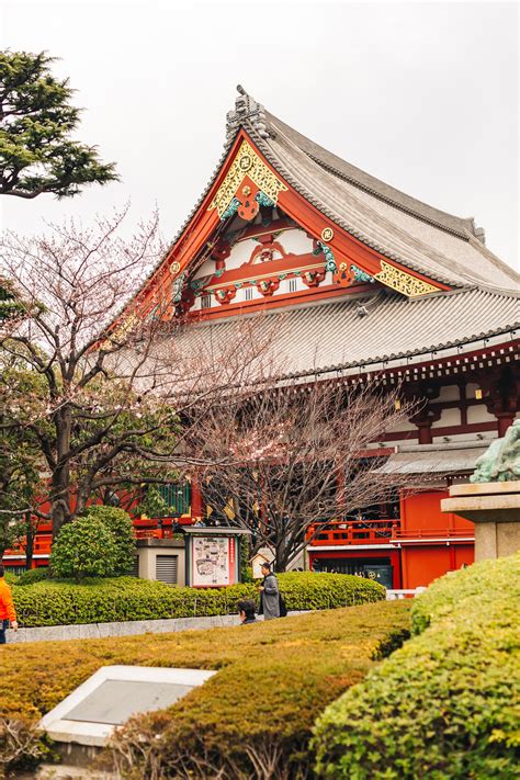 8 Things You Should Know Before Visiting Asakusa Sensoji Temple During ...