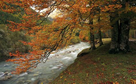 Stream Landscapes Autumn Fall Trees Forest Hills Mountains