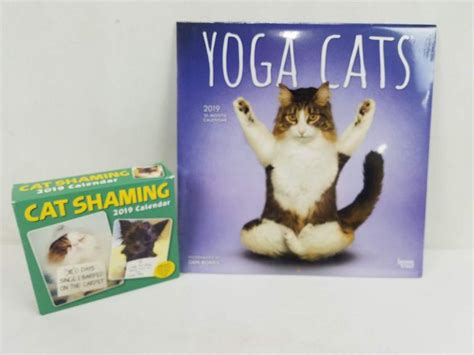 Cat Calendars 2019 Cat Shaming Page Per Day And Yoga Cats 16 Month 2019