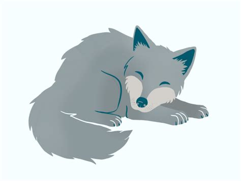 Sleeping Wolf By Lory Murariu On Dribbble