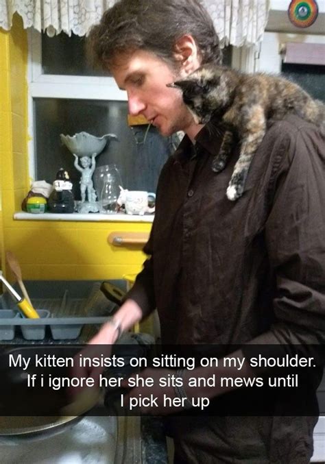 Wholesome Cat Snaps Of Cats Loving Their Humans Cute Funny Animals