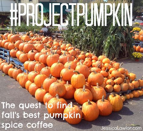 The Quest To Find Falls Best Pumpkin Spice Coffee