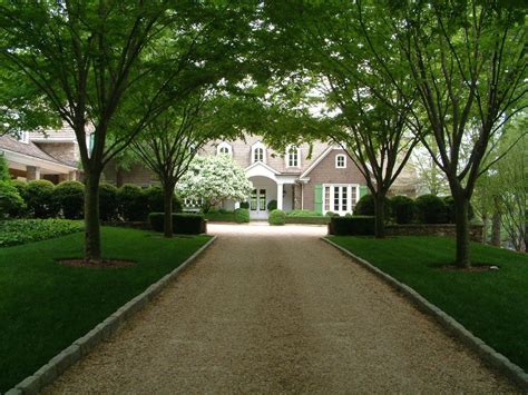 This digital photography of driveway entrance landscaping ideas has dimension 1600 x 1200 pixels. Gravel drive and Zelcova allee to residence. Landscape ...