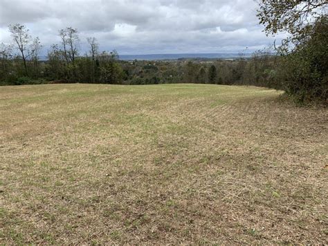 59 Acres Of Open And Wooded Land Horning Farm Agency
