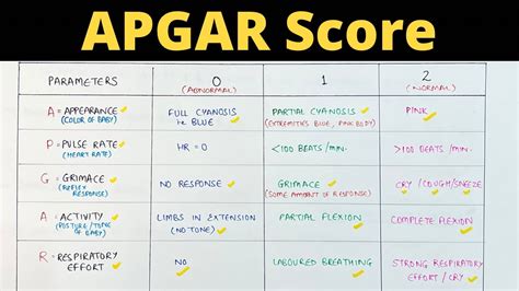 How To Calculate Apgar Score Evaluation Of Newborn Pediatrics Youtube