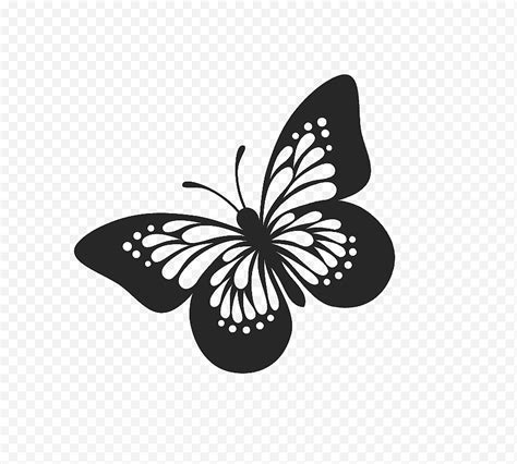 Arriba Foto Imagenes De La Mariposa Monarca Para Dibujar Mirada Tensa