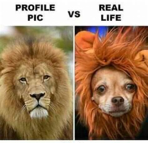 Profile Pic Vs Real Life Yall Memes Br