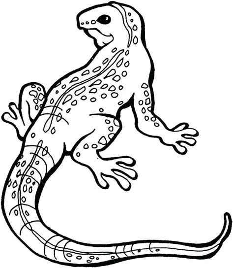 Horned Lizard Drawing At Getdrawings Free Download