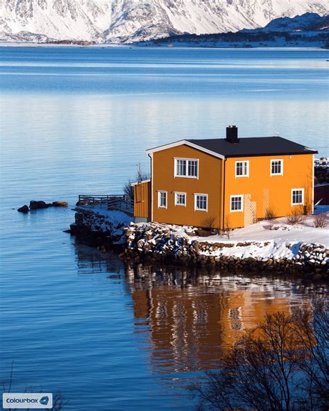 Traditional Norwegian Yellow Wooden House In The Lofoten Islands